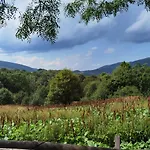 Akacja